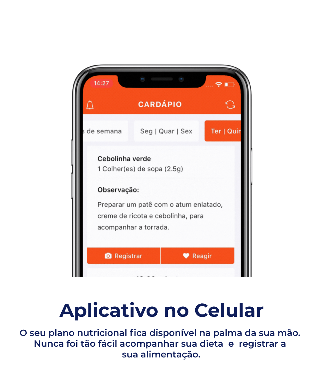 Novo Projeto - 2024-02-20T141528.493